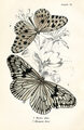 Image Not Available